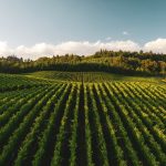 Investissements fédéraux dans l’agriculture américaine : entre conservation de l’eau et développement coopératif